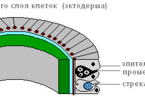 Кракен маркет даркнет только через тор