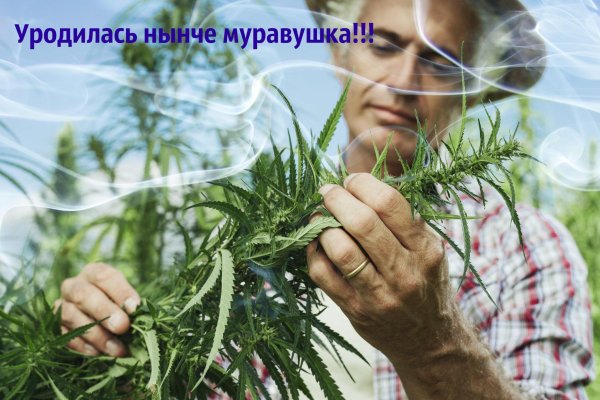 Кракен наркологический